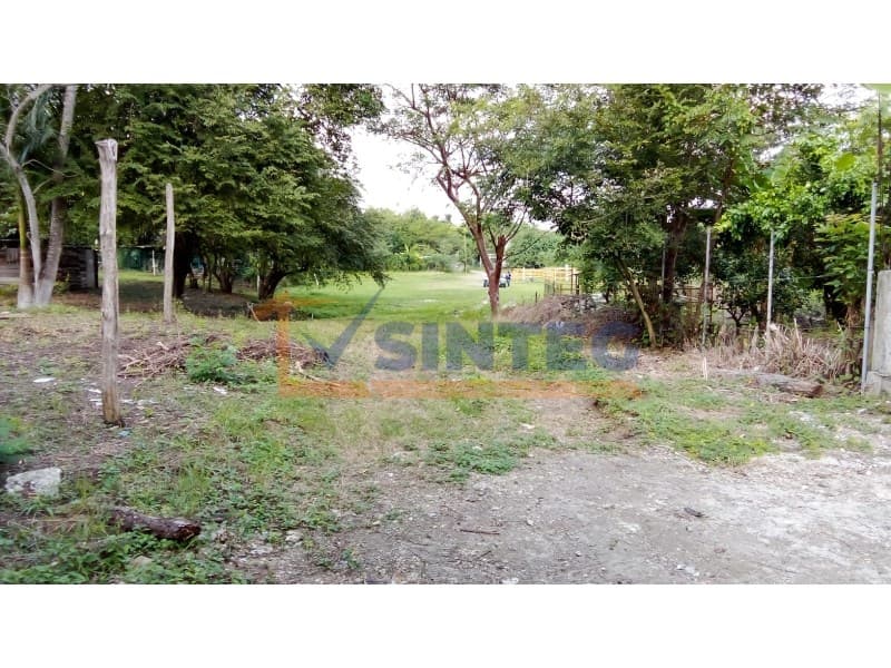 VENTA DE TERRENO 1,000 M2 FRACC. LA ILUSION, La Ilusión - 1