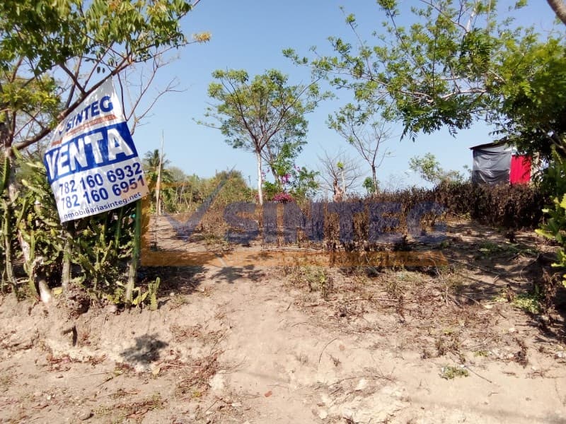 VENTA DE TERRENO SUPERFICIE 200 M2 CONG. PITAL MOZUTLA, PAPANTLA, Pital Mozutla - 1