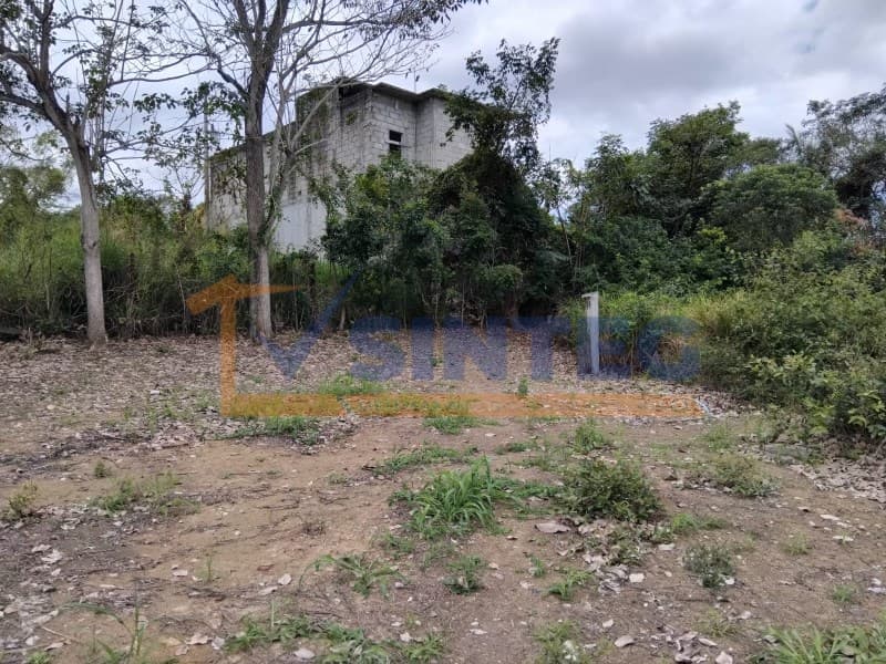 VENTA DE TERRENO DE 210M2 EN COL. AMPLIACION COSTITUYENTES, POZA RICA,VER., Yanga - 1