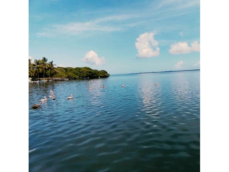 VENTA DE TERRENO FRENTE A PLAYA Y LAGUNA, Tantalamos - 1