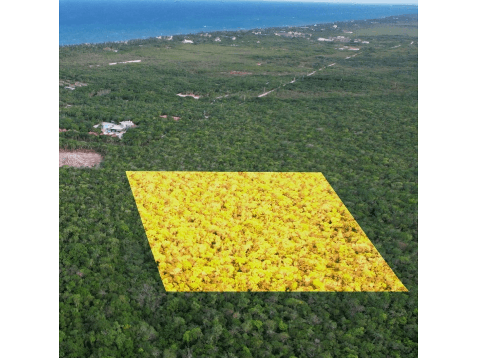 Terreno en Venta en Region 8 Tulum - 1