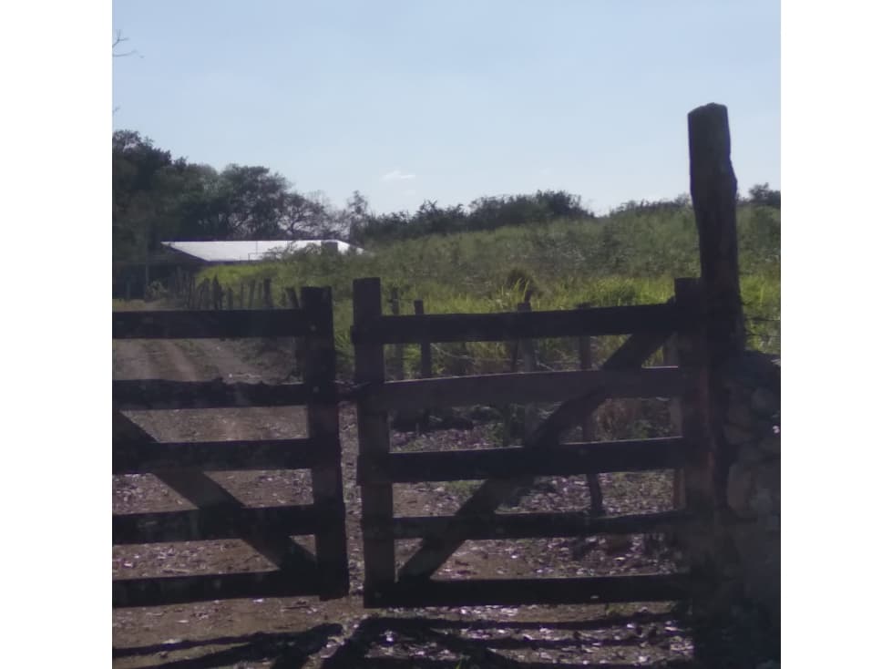 RANCHO DE 88 HECTAREAS EN BUCTZOTZ, YUCATAN - 1