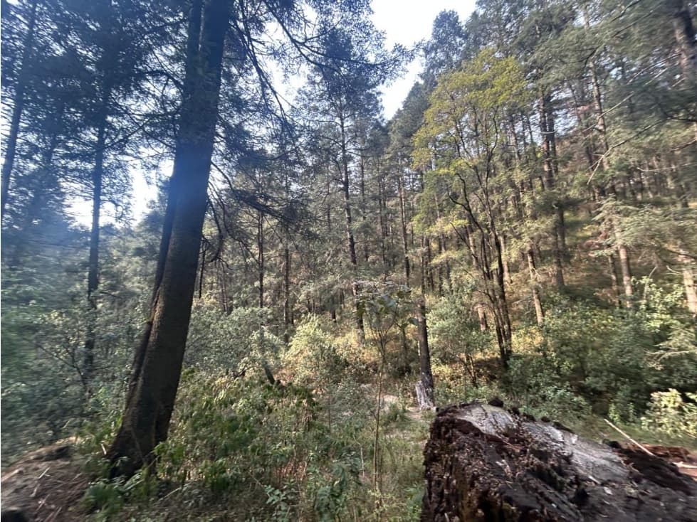 Terreno en Santa Maria Atarasquillo (Bosque) - 1