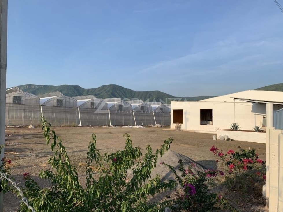 Rancho en Venta con Sistemas de Riego y Tecnología Agrícola - 1