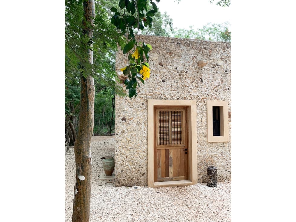 Casa con cenote en venta en Ticuch - 1