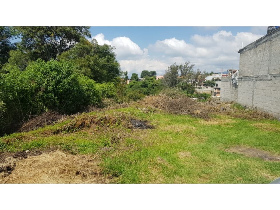 Excelente lote con dos frentes, Zacanguillo, Coatepec Harinas - 1