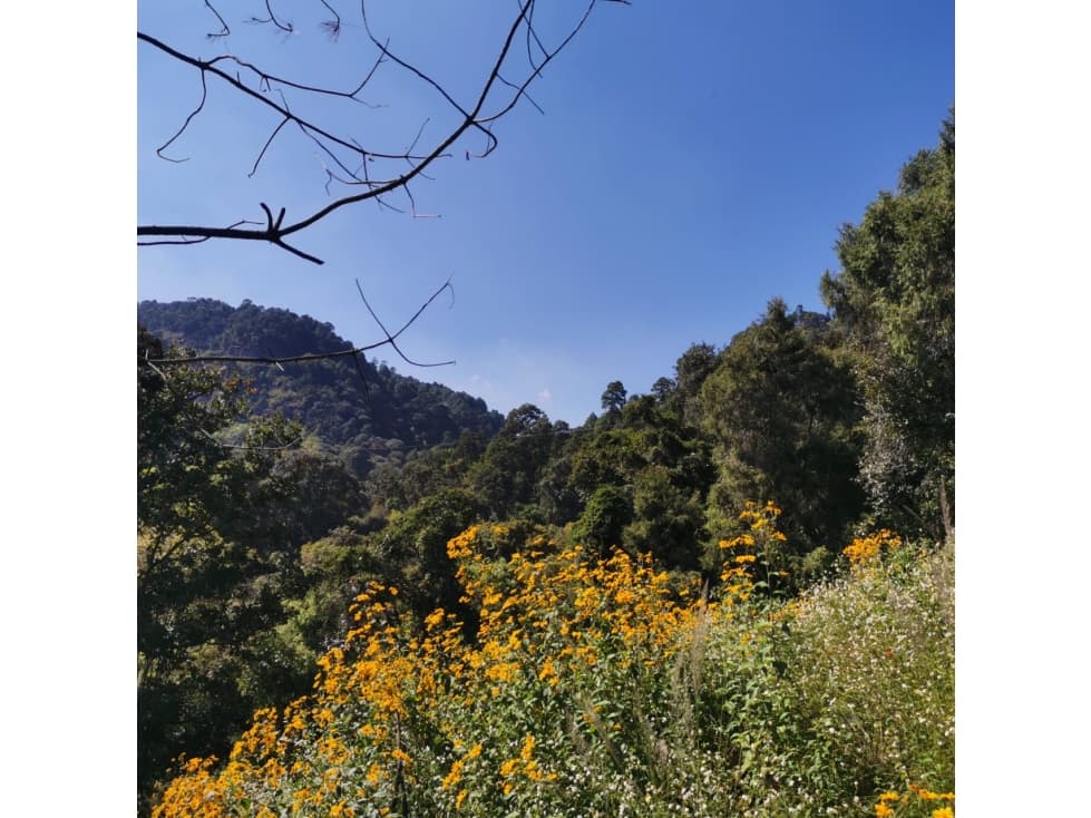 Bonito rancho en paraje Las Mesas, Coatepec Harinas - 1
