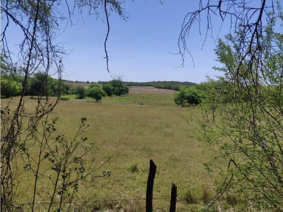 VENTA TERRENO CAMPESTRE EN MONTEMORELOS MST - 1