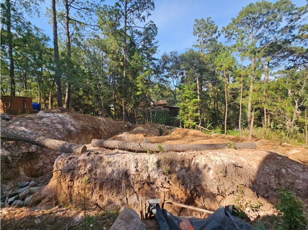 Bonito terreno en zona de bosque con materiales de construccion - 1