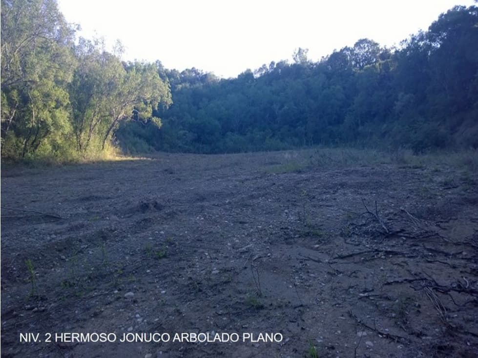 TERRENO EN VENTA EN CARRETERA NACIONAL EN MONTEMORELOS LA MORITA N.L. - 1