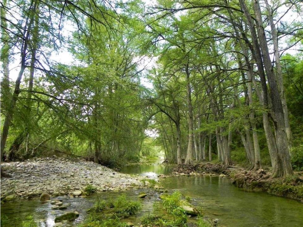Terreno en Venta La Morita Montemorelos Nuevo Leon - 1