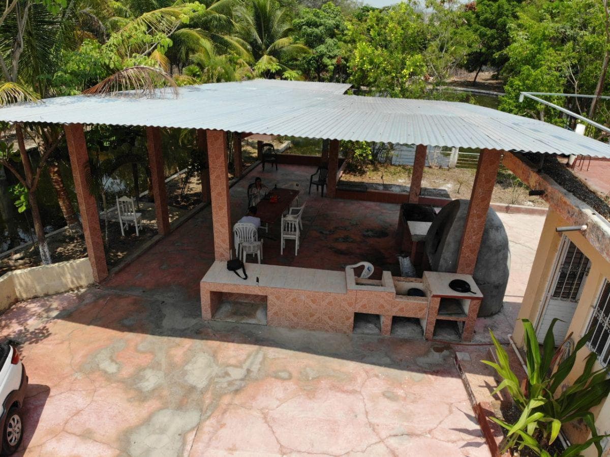 Quinta - América Libre - 1