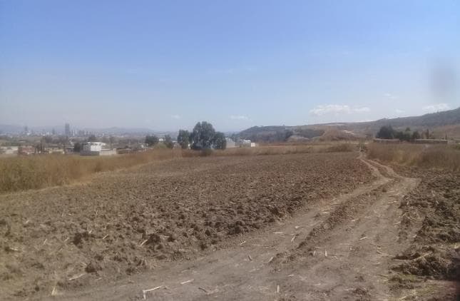 Terreno - Pueblo San Gregorio Atzompa - 1