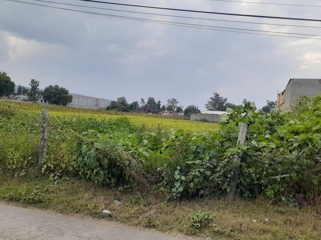 Terreno - San Juan - 1