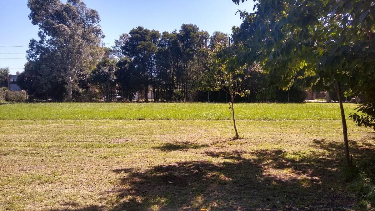Venta Terreno-Escrituración inmediata- Calle Arana e/ 139 y 141 - Arturo Seguí - 1