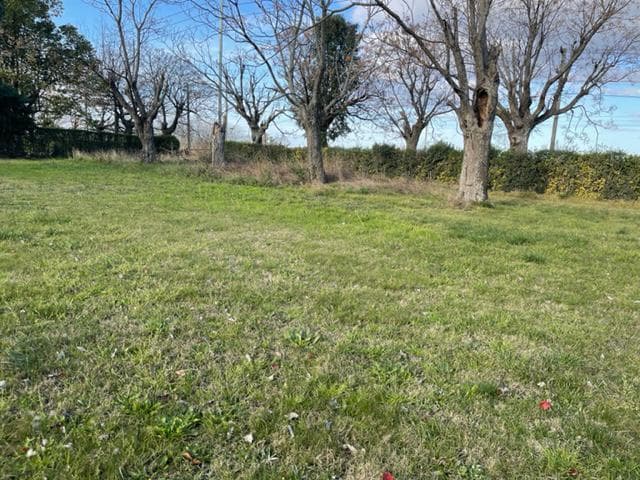 LOTE EN VENTA CC.EL MORO - MARCOS PAZ - 1