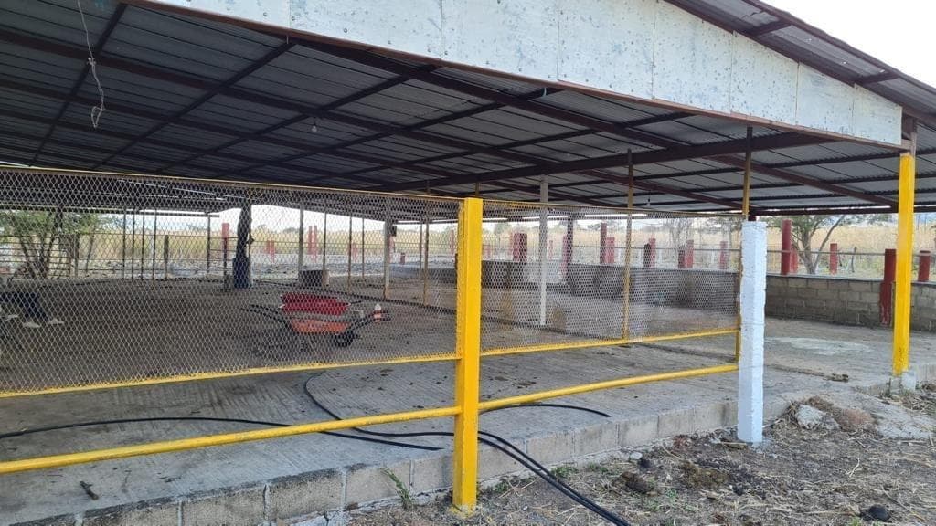 Se vende rancho de 13 hectáreas muy cerca del Aeropuerto Internacional - 1