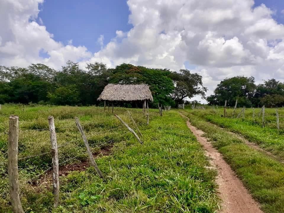 Finca - Pueblo Kikil - 1