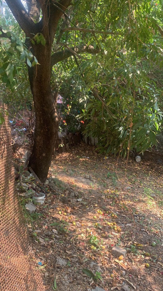 TERRENO EN VENTA EN CHIAPA DE CORZO - 1