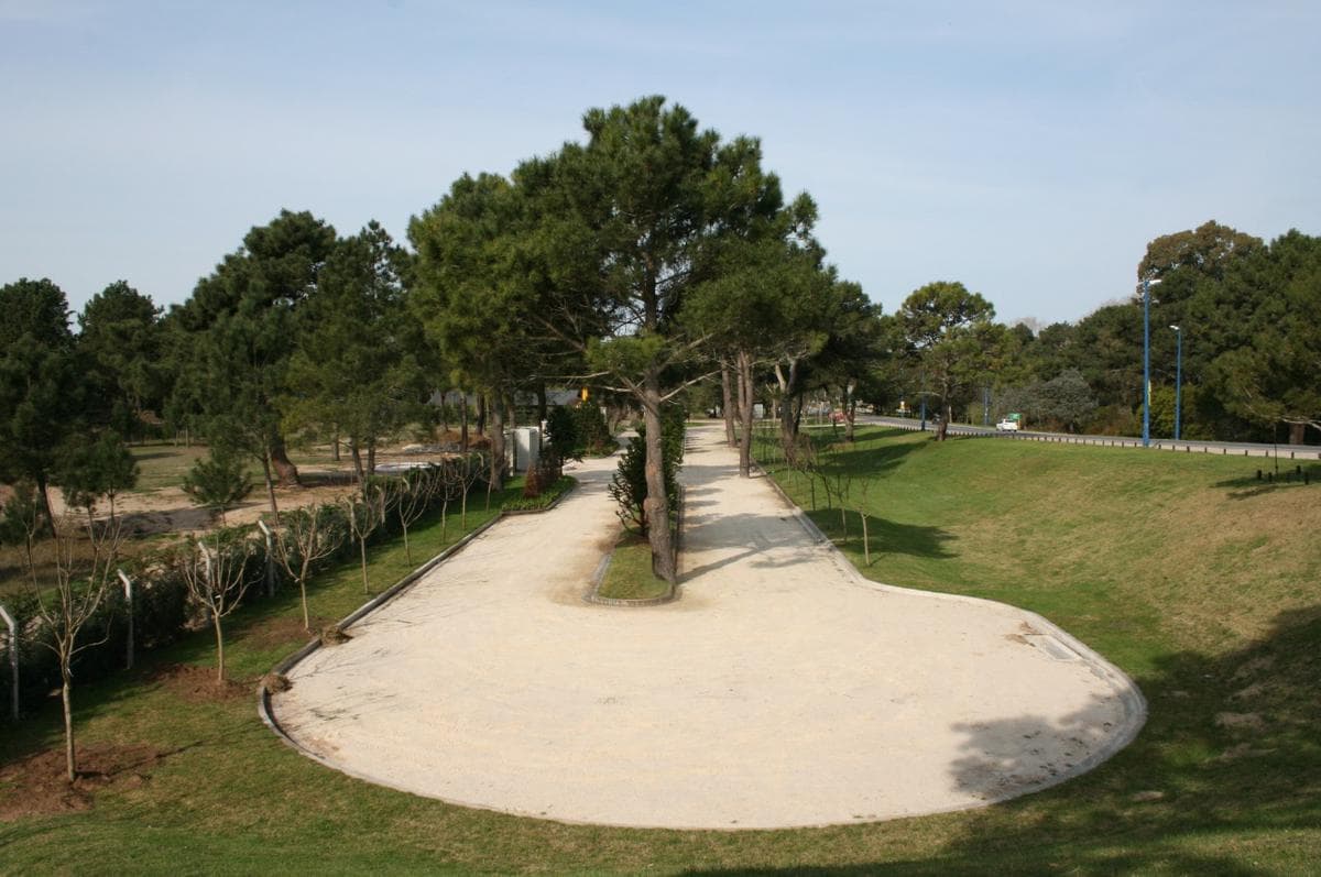 Venta - Terreno de 9000 m2 en Villa Gesell - PERMISOS PARA COMERCIOS O LOTES MULTIFAMILIARES - 1