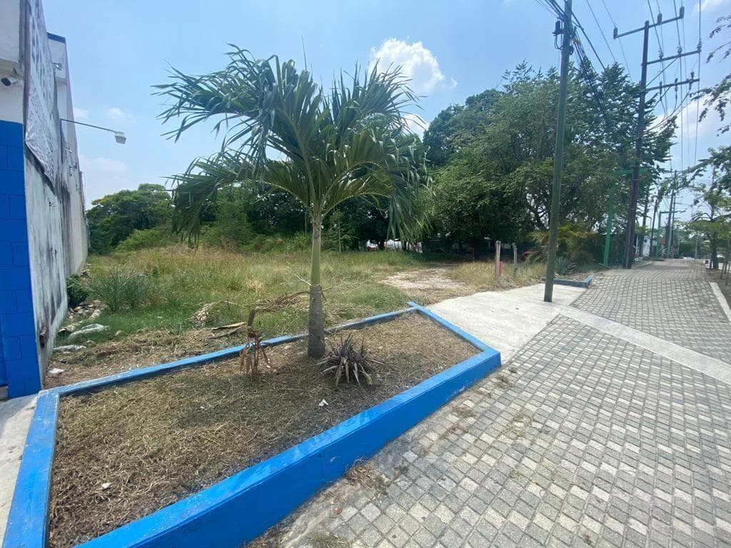 TERRENO EN RENTA PARA INVESIONISTAS - 1
