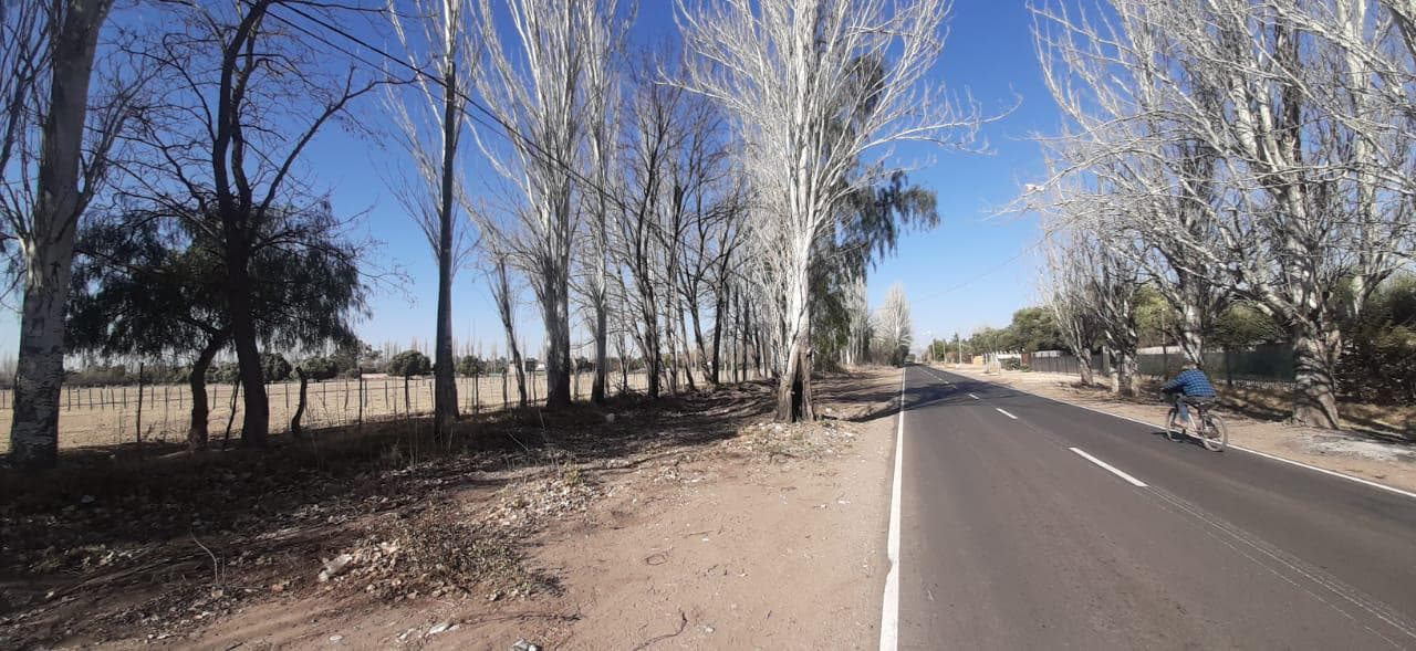 Terreno en calle el toledano - 1