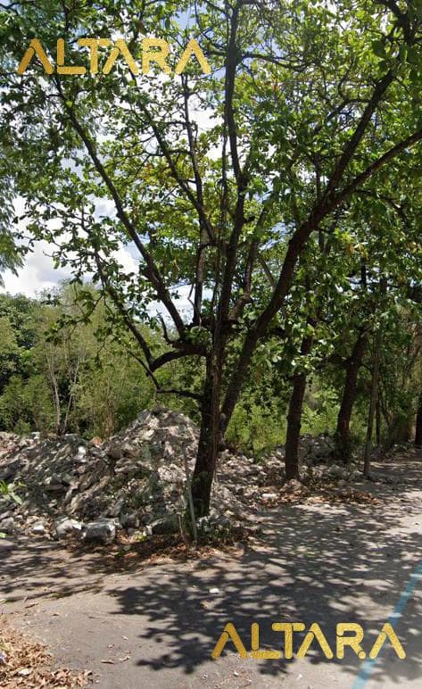 Terreno - Ciudad Valles - 1