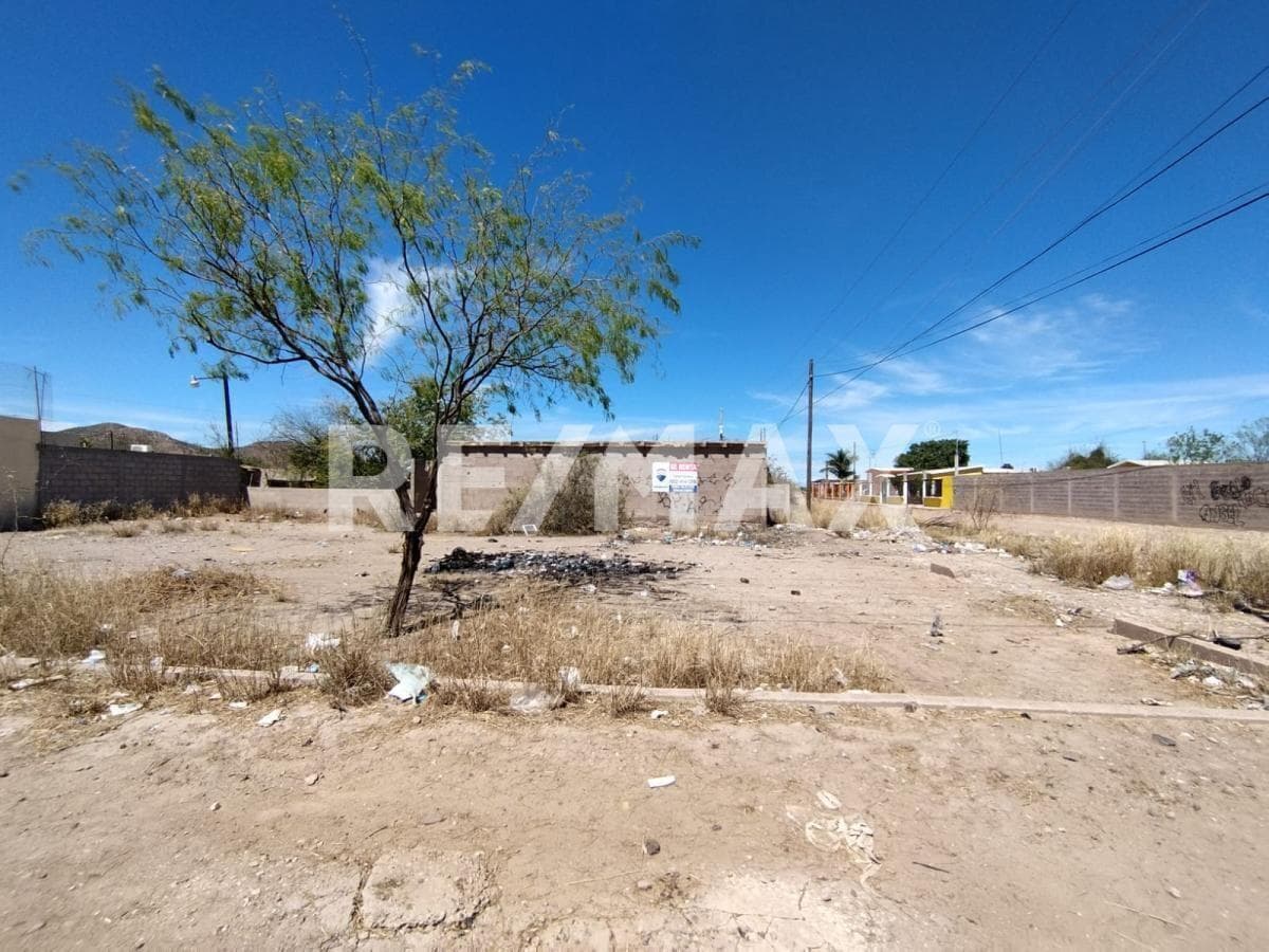 Terreno comercial en renta en colonia Palmares de Empalme, Sonora. - 1