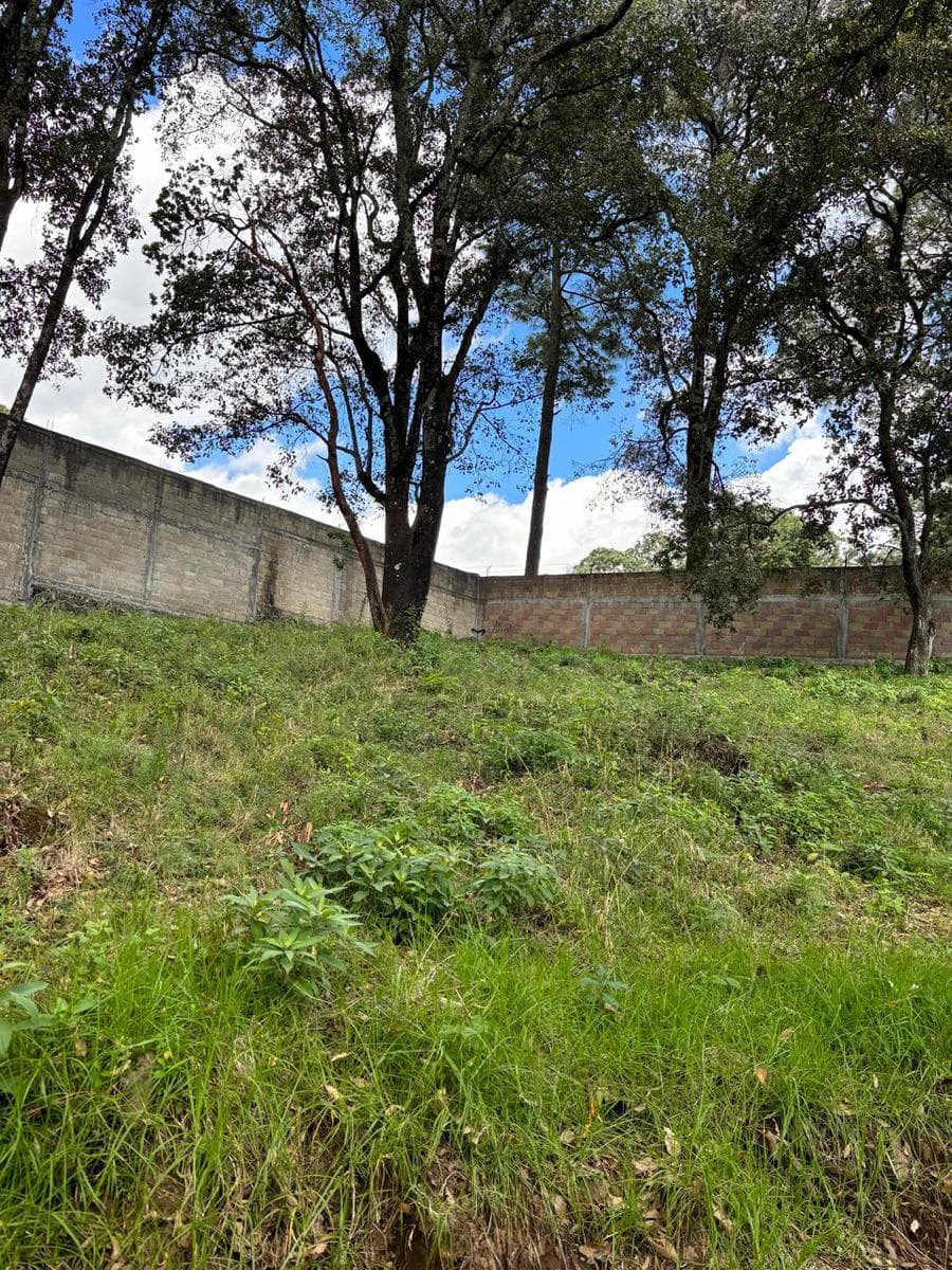 Terreno en Tezontlalpan - 1