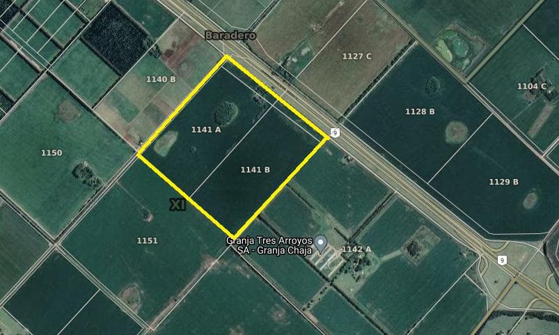 Campo - Baradero - 1