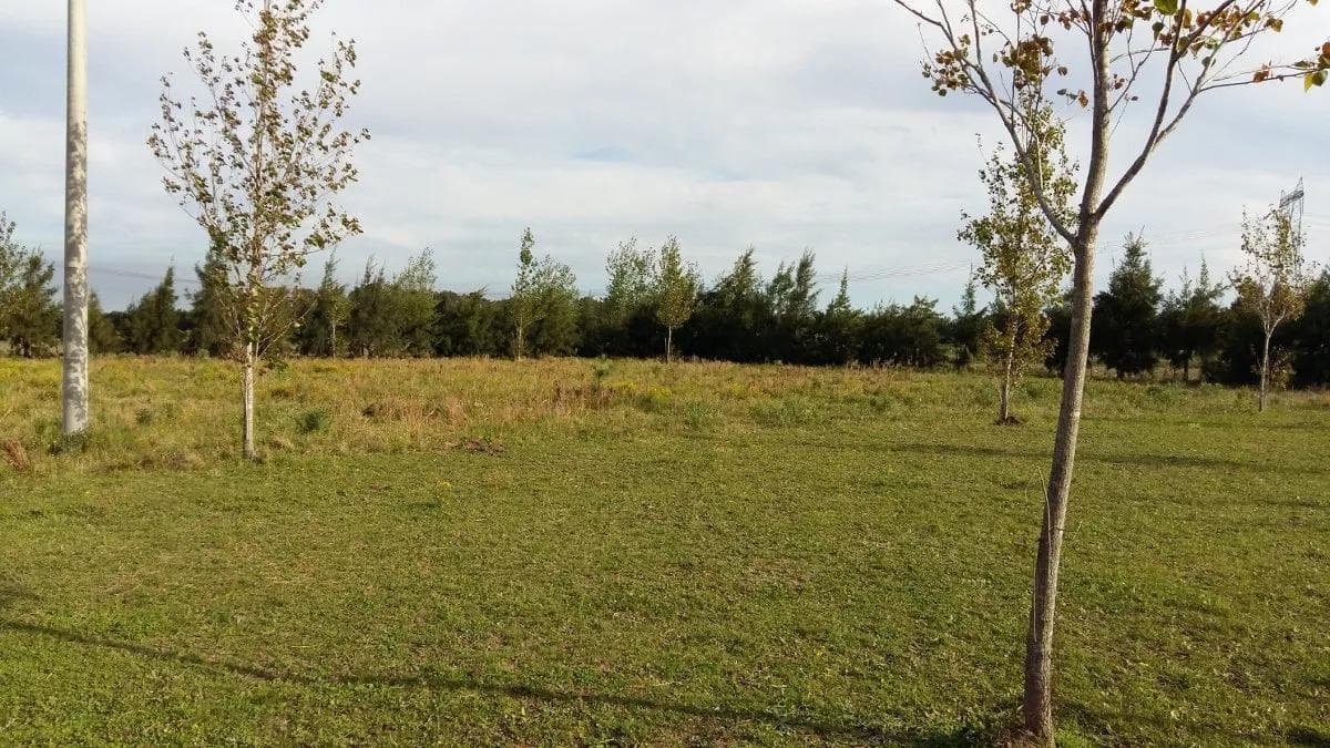 Terreno venta - 51,4x88,6mts - 4550mts2 totales - Baradero - 1