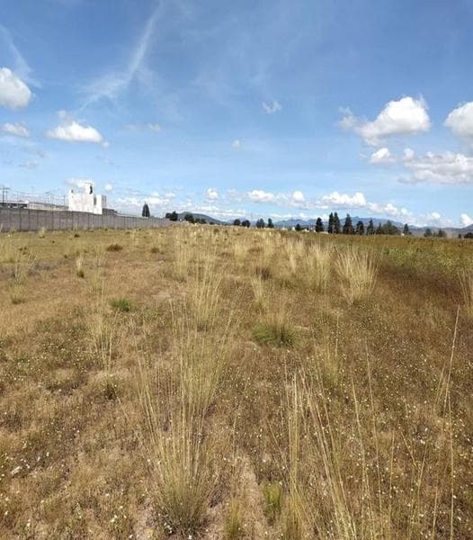 VENTA DE TERRENO INDUSTRIAL, HUAMANTLA, TLAXCALA - 1