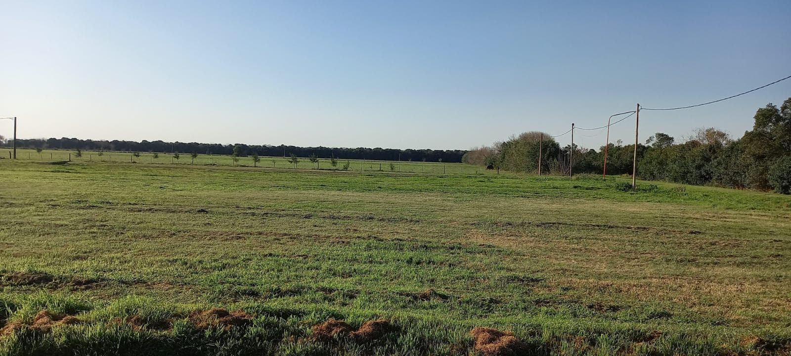 Campo en Pujato Norte - 1