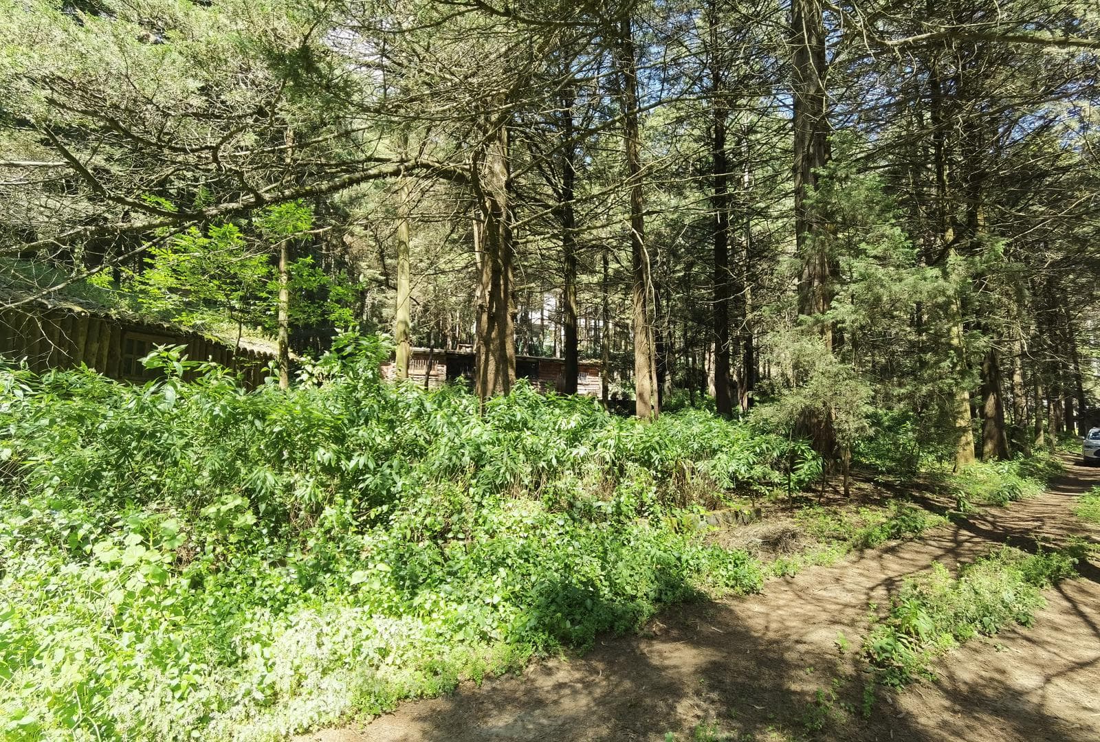 Terreno en Venta en Ex-hacienda Jajalpa - 1
