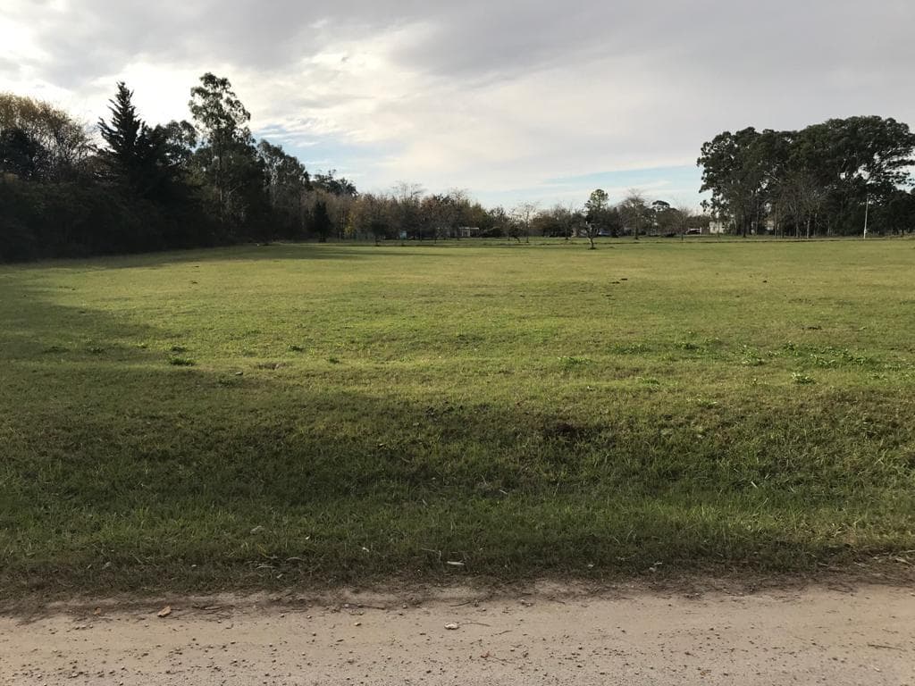 Terreno - Lote - Magdalena - 1