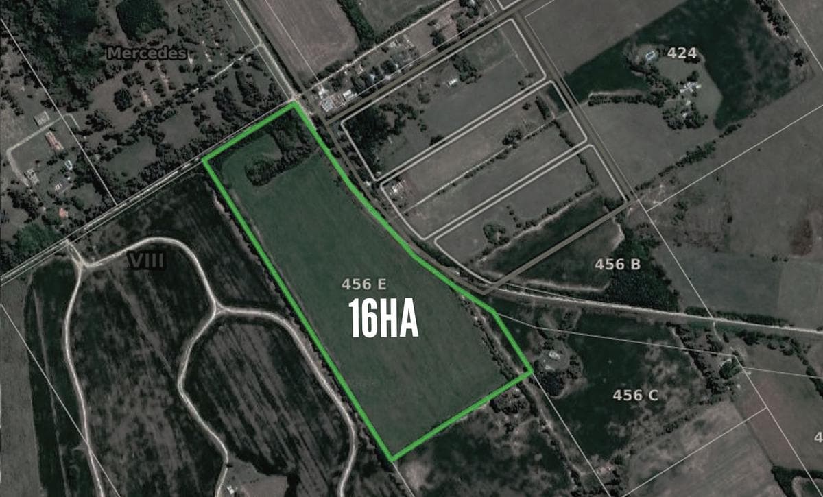 Campo en venta - 16Ha- Goldney - 1