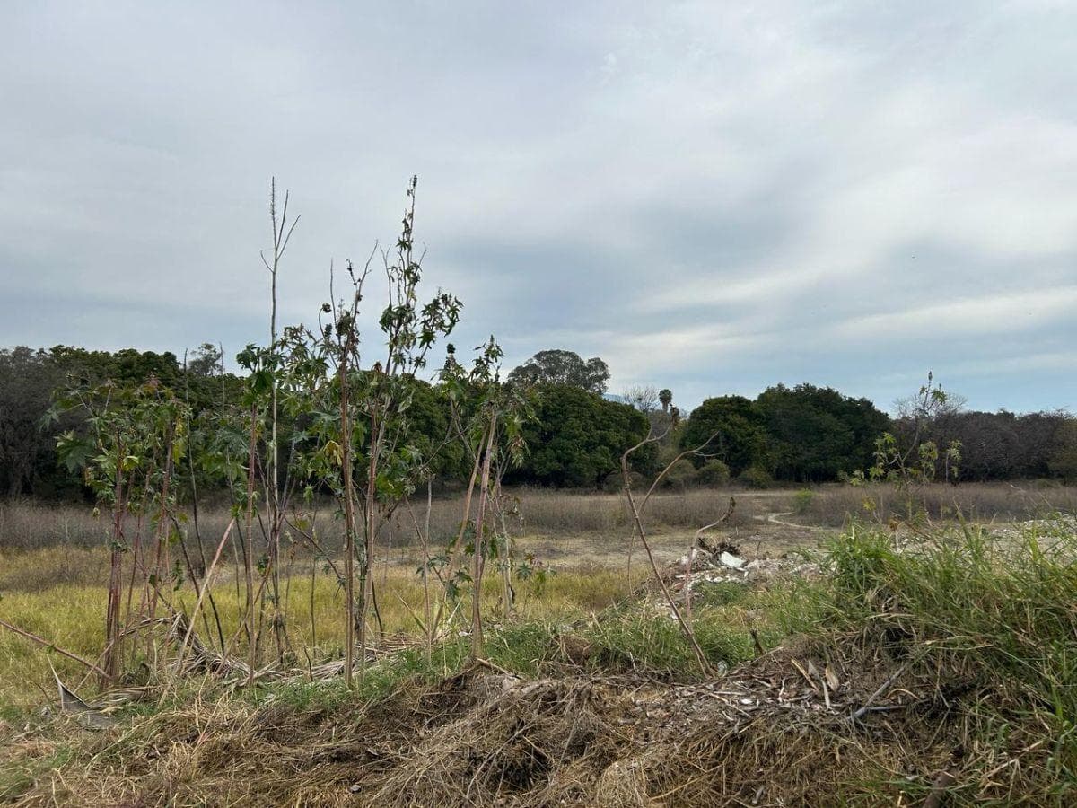 Terreno en Venta, Chapala, 32 Ha - 1
