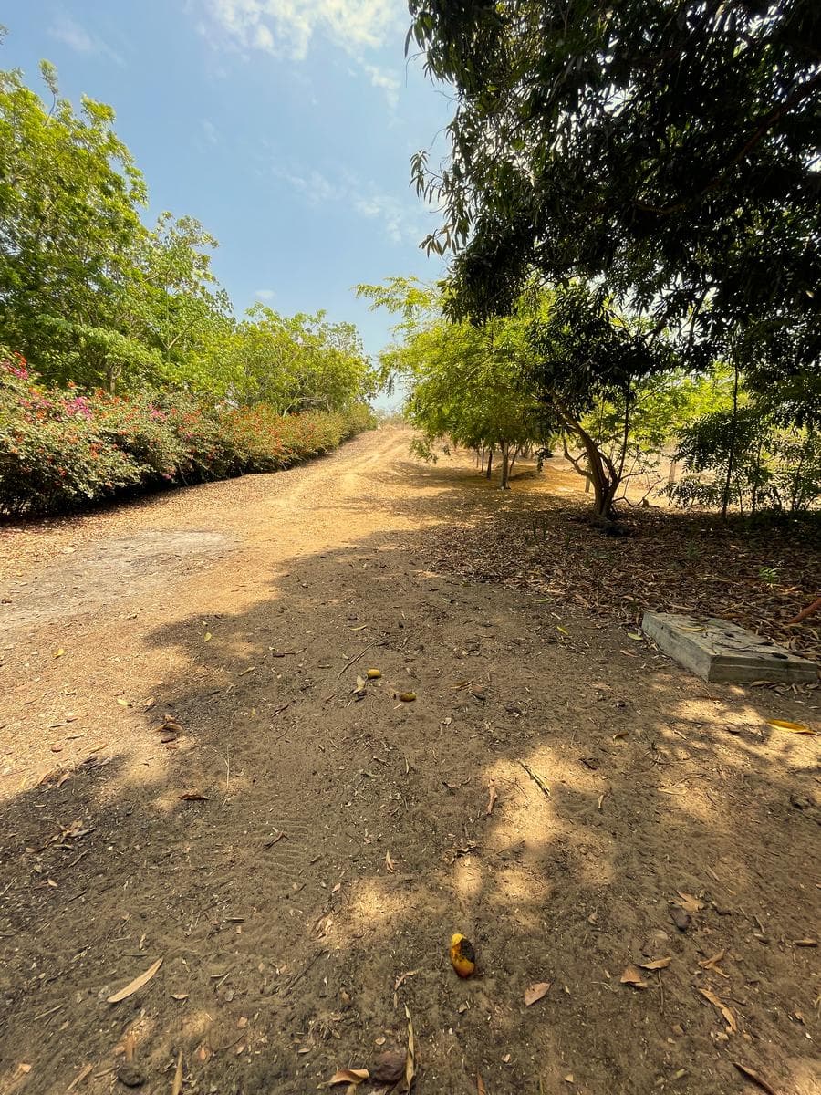 En venta Terreno en Puerto Escondido, Oaxaca - 1