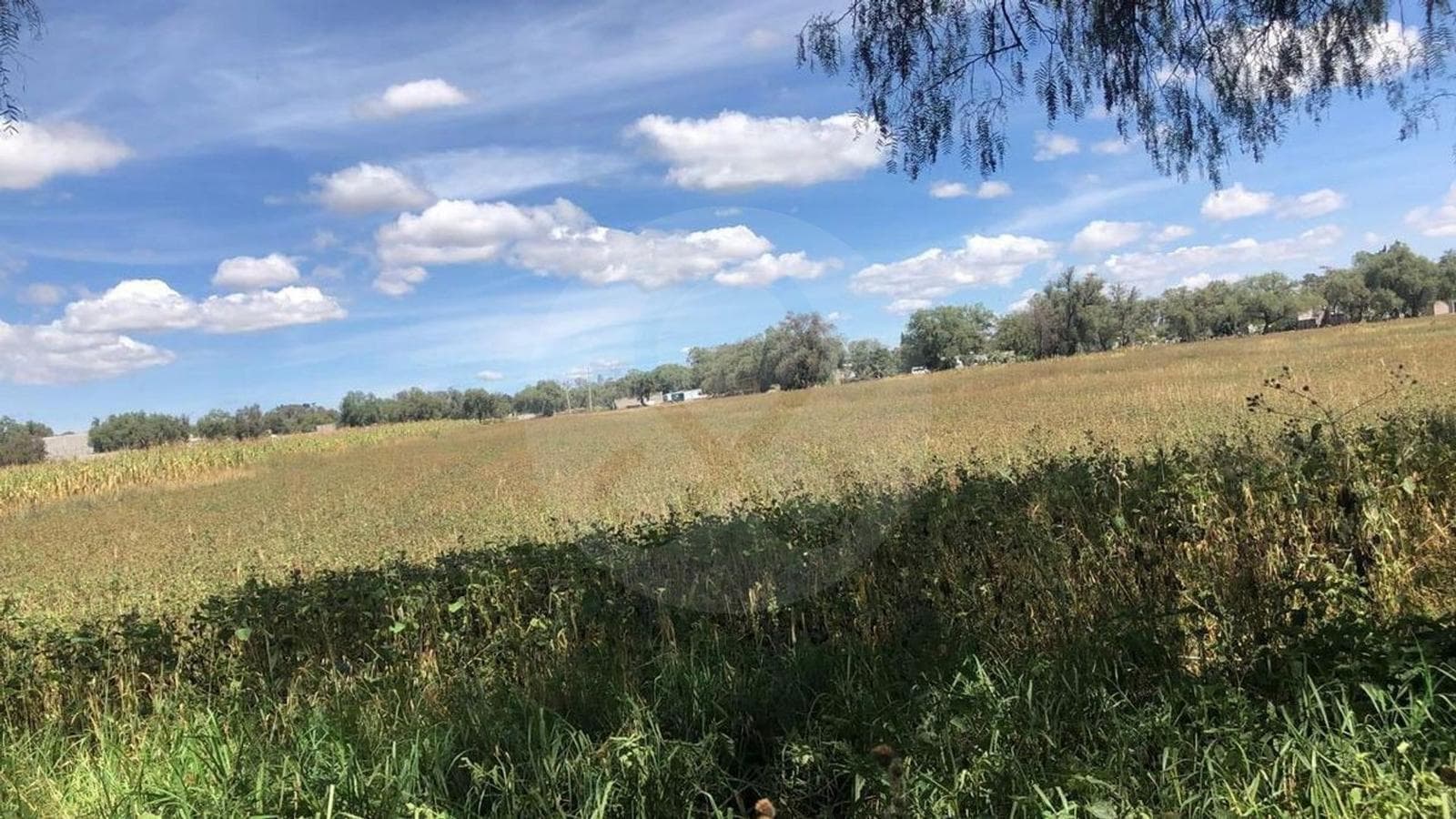 Terreno en Venta en Zumpango - 1