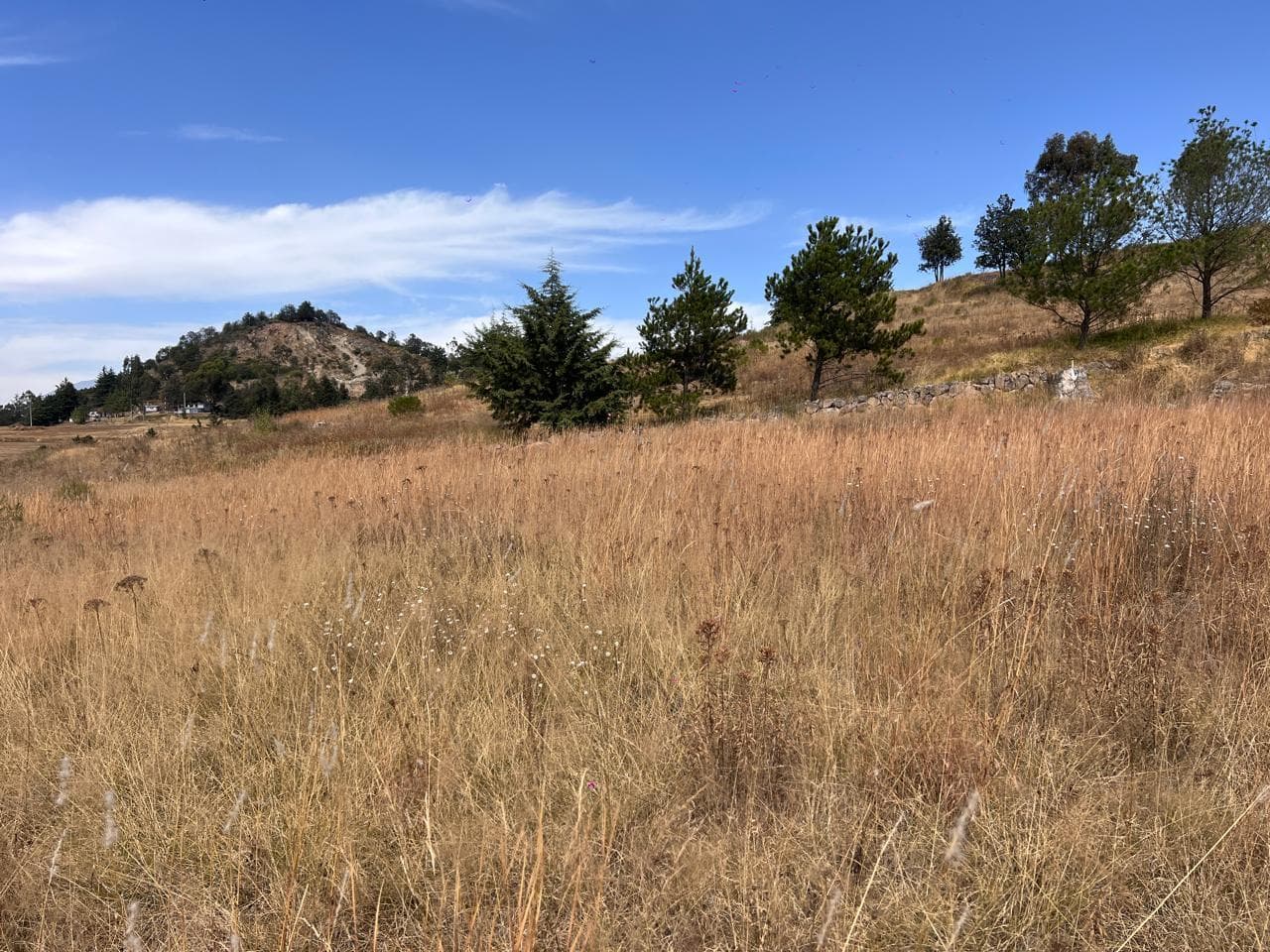Terreno en Venta en Fraccionamiento la Purísima, Ixtlahuaca - 1