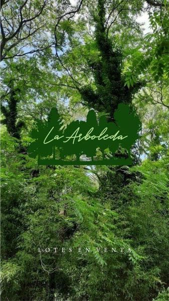 Lotes La Arboleda Miramar a 500 mts dl Bosque Vivero Dunícola Florentino Ameghino. - 1