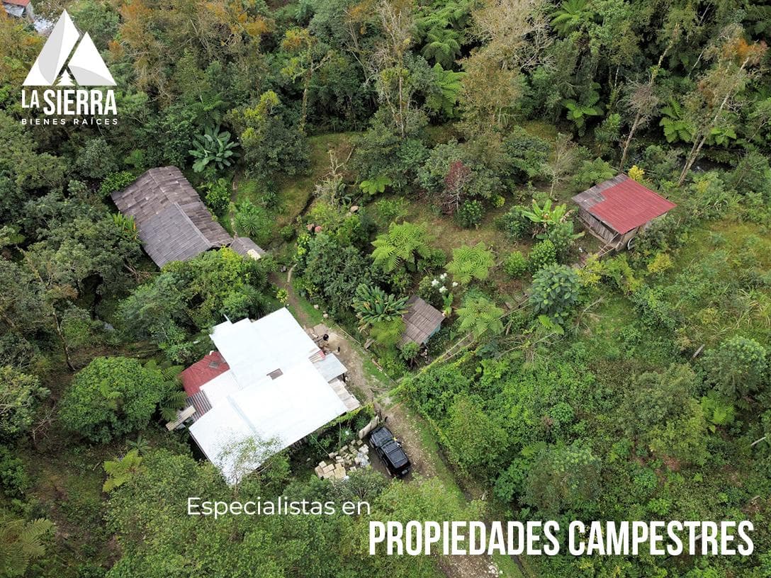 Finca en las afueras de Xicotepec de Juárez - 1
