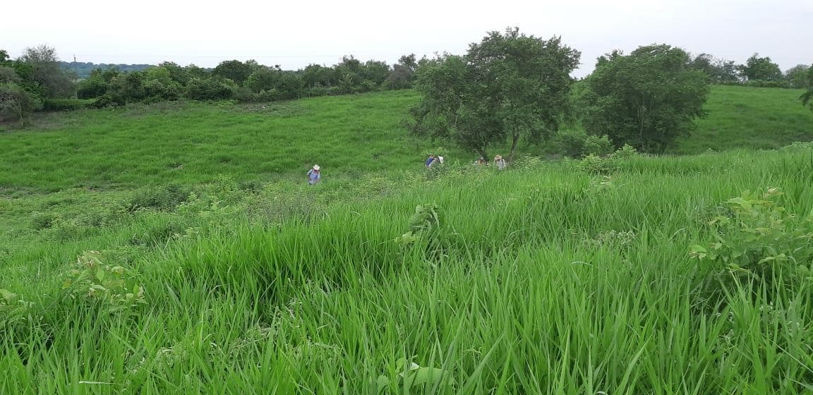 RANCHO EN VENTA UBICADO EN LA NORIA, TEMPOAL VERACRUZ, INF. 833 477 1120 - 1