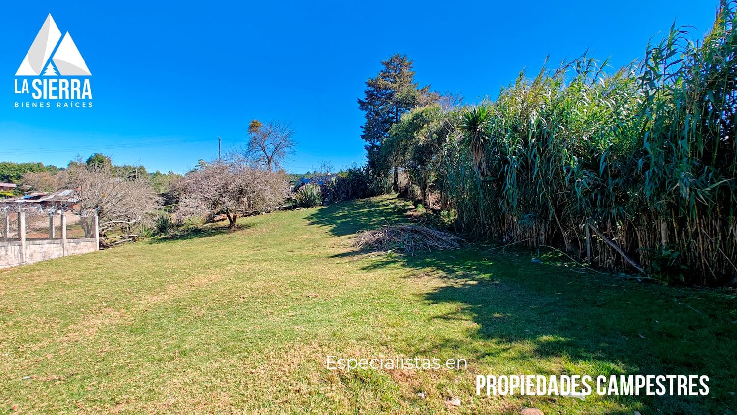 Terreno bien ubicado en Venta Grande - 1