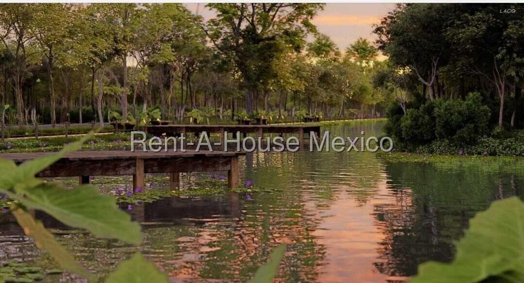 Terreno en Venta en Celestun ,Pueblo de Celestun AF 25-2656. - 1
