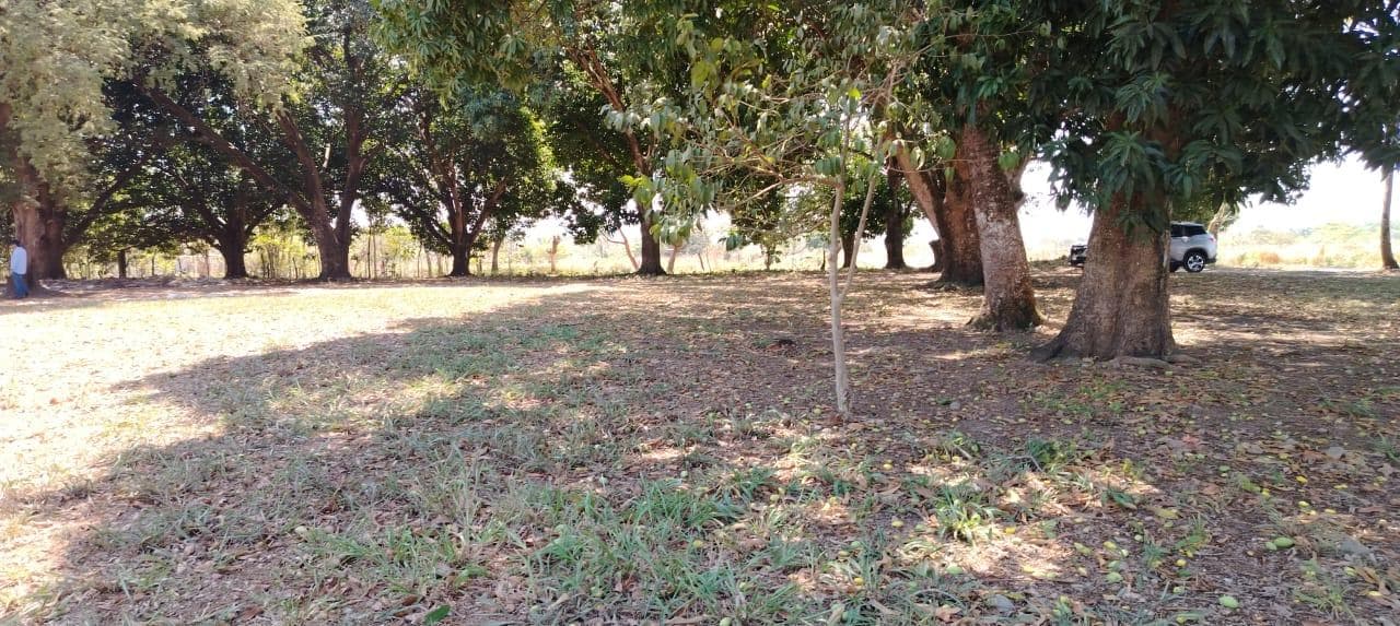 Venta de Terreno en Colonia Insurgentes por Reclusorio en Tuxtepec Oaxaca. - 1