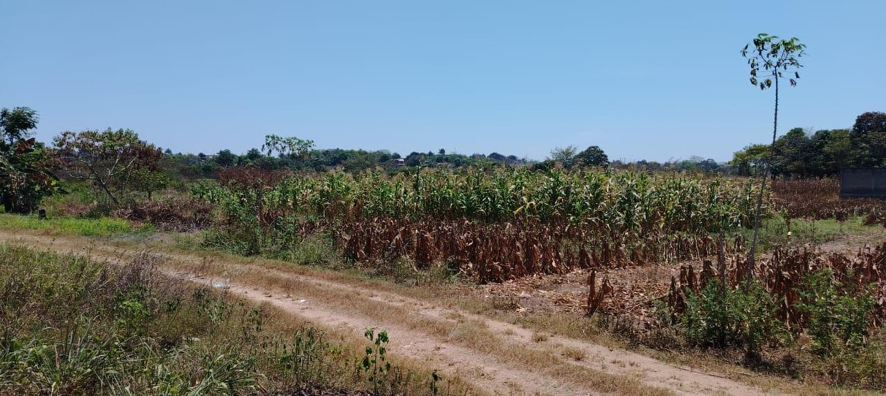 Venta de Terreno en Colonia Insurgentes por Reclusorio en Tuxtepec Oaxaca. - 1