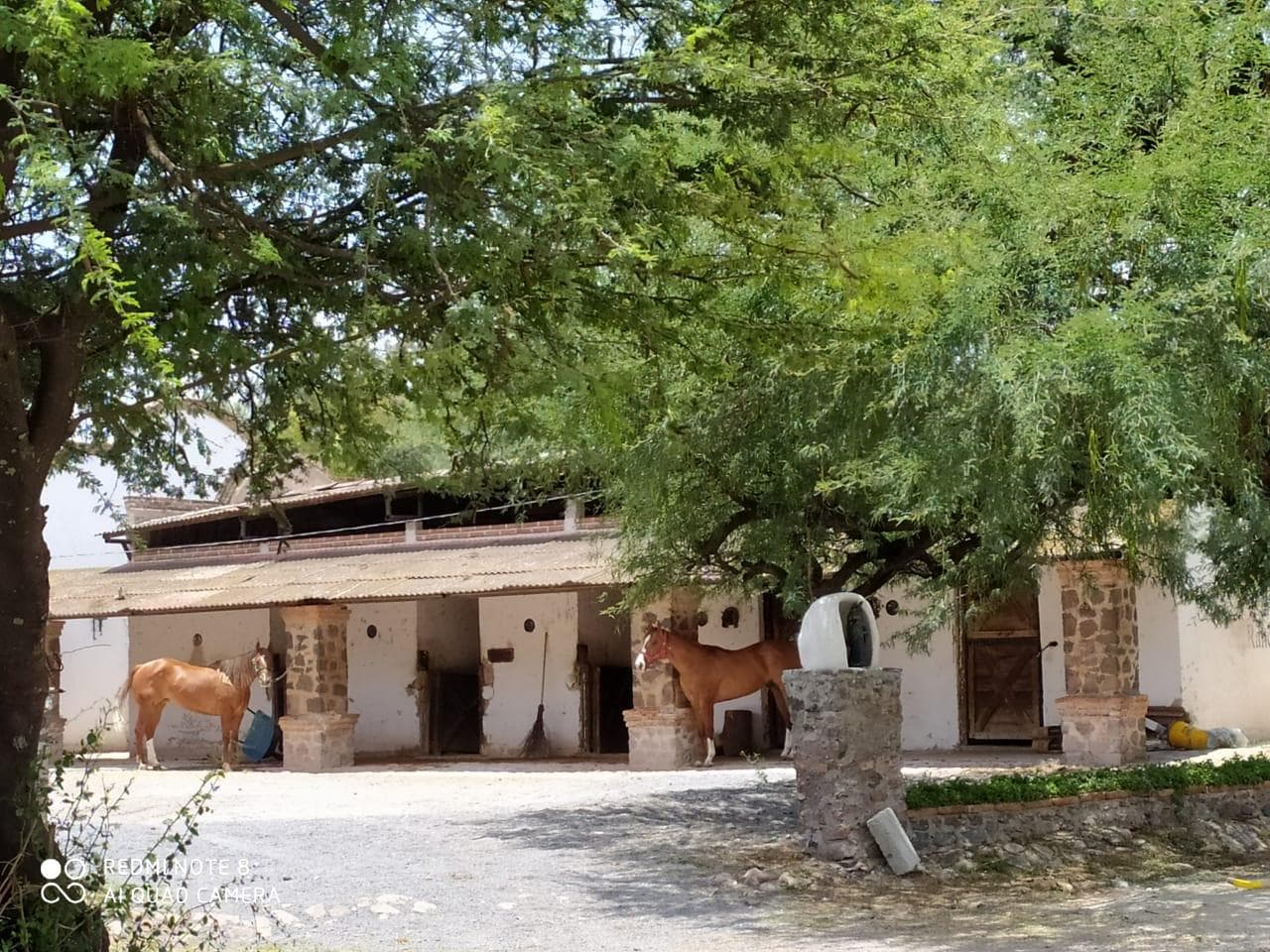 Terreno en VENTA Apaseo Gto - 1