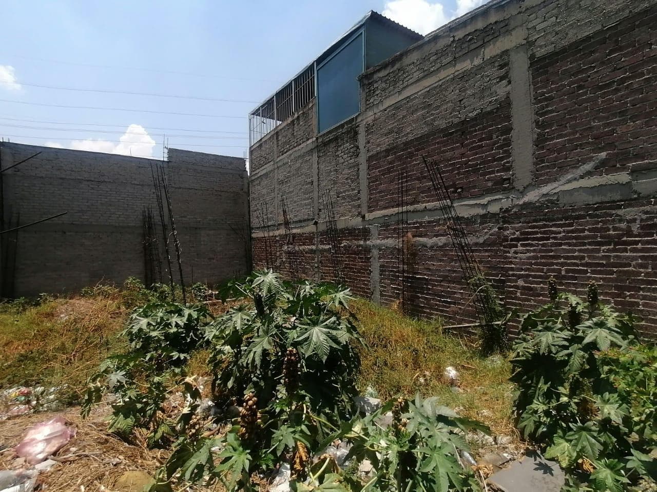 Terreno en Carlos Salinas de Gortari - 1