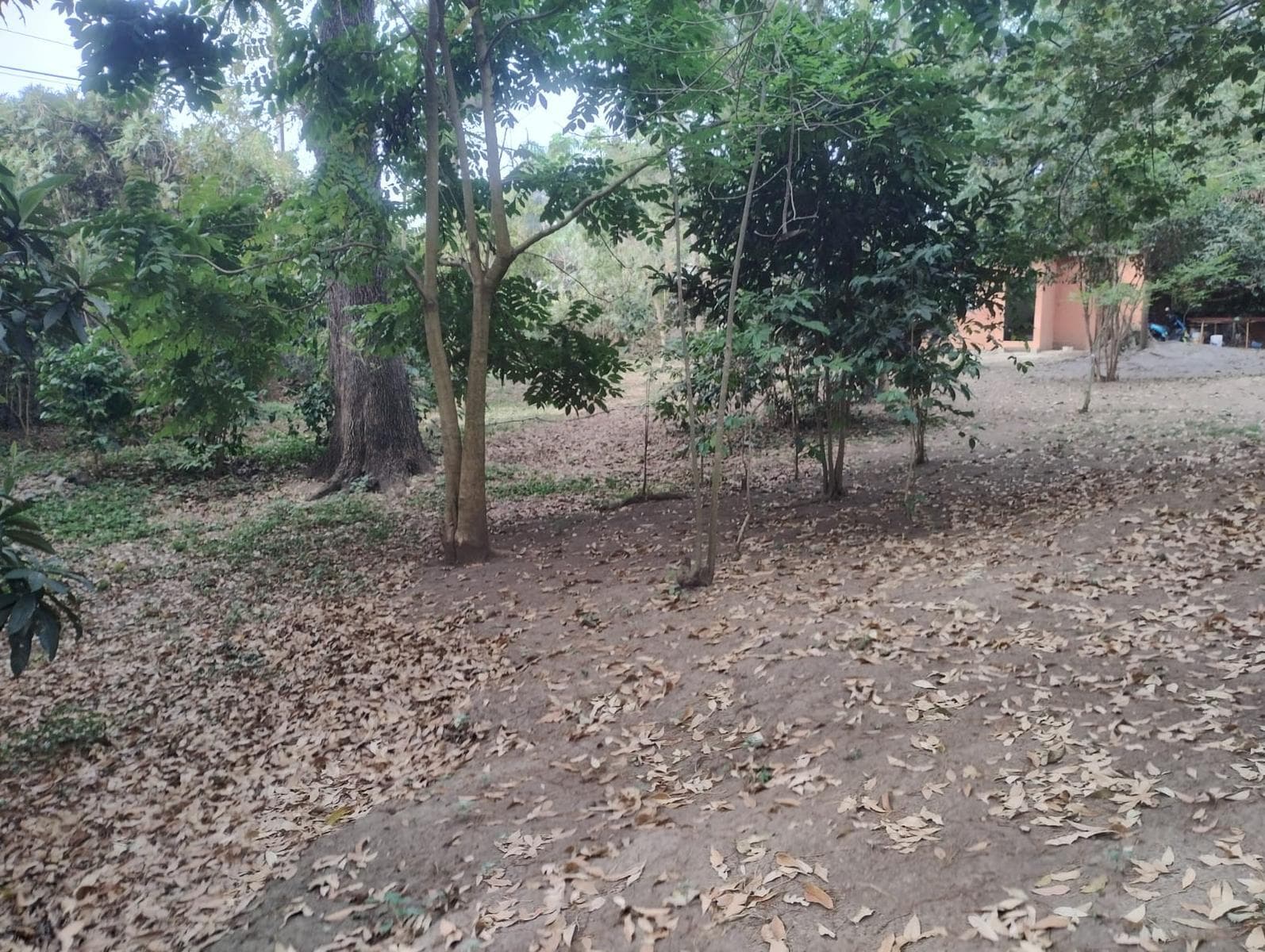 Venta de Terreno Rio Atongo Tepoztlan Morelos $ 16,155,000.00 - 1